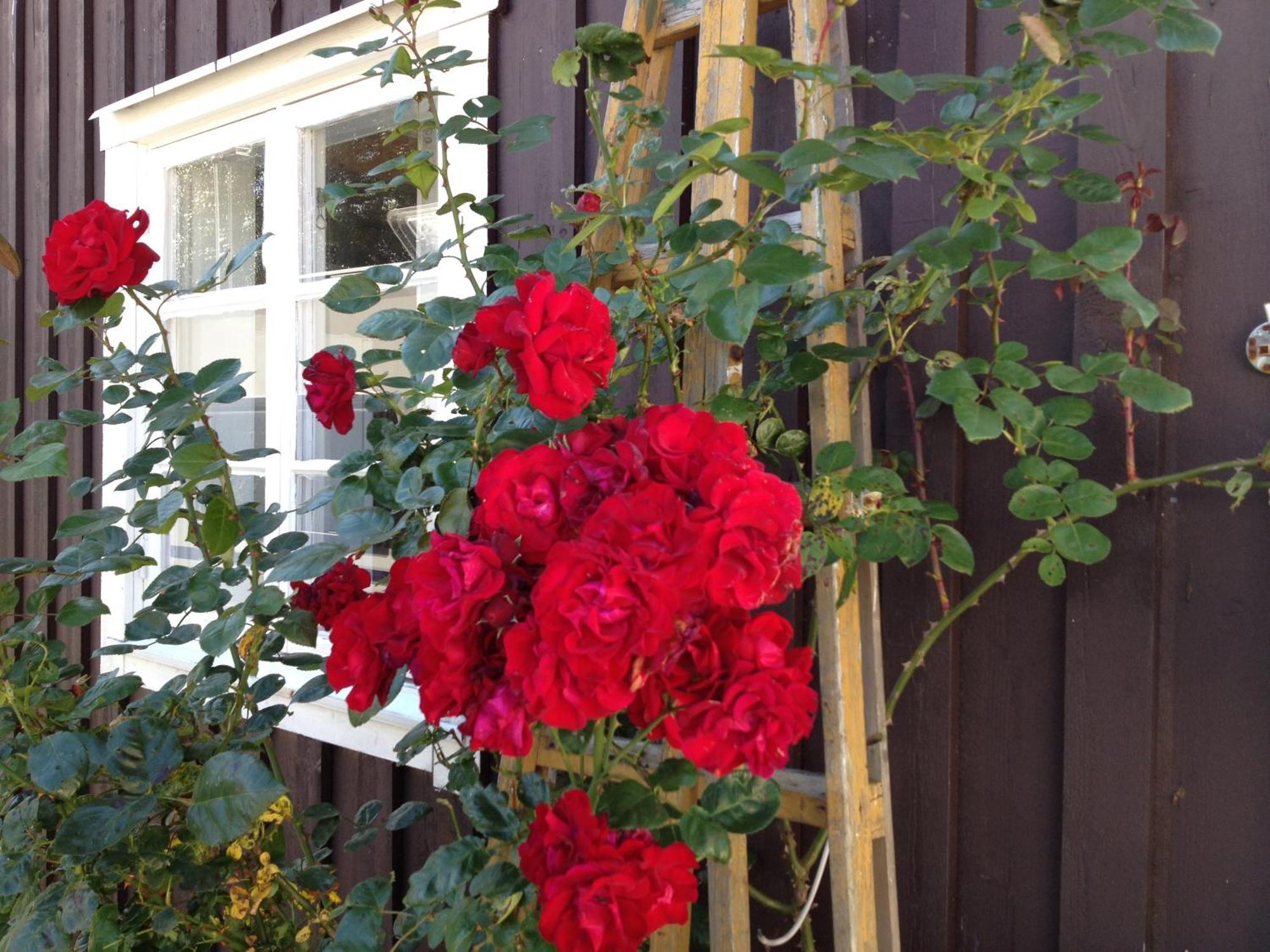 Bed and Breakfast Asa Jutegard Esterno foto